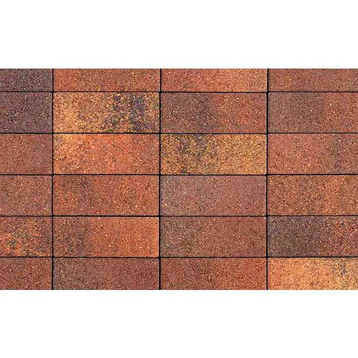 Плитка тротуарная Паркет Б.4.П.6 Листопад гладкий Арабская ночь 180x60x60 мм